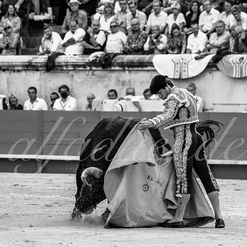 Nimes 20210917 alfaduende 004 fd