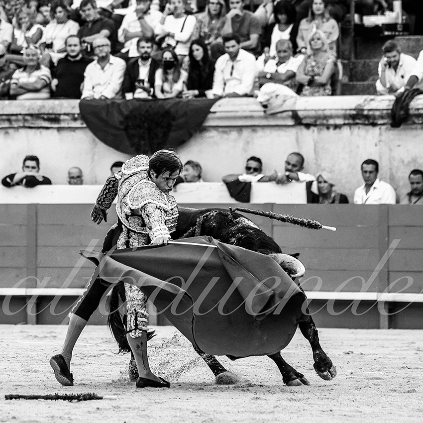 Nimes 20210917 alfaduende 005 fd