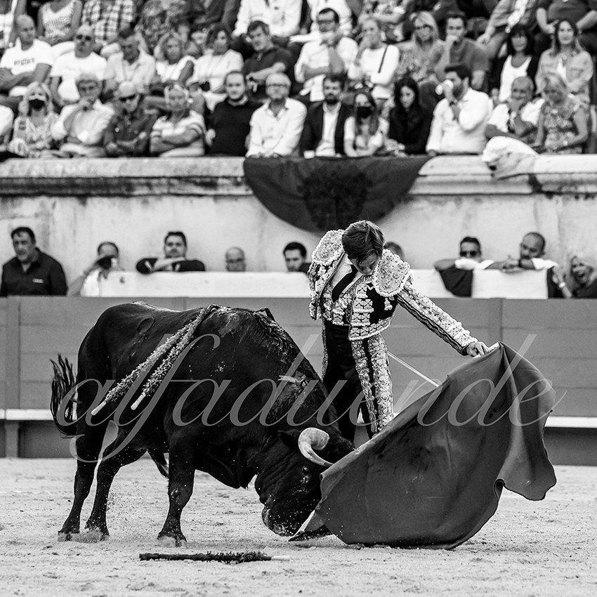 Nimes 20210917 alfaduende 006 fd