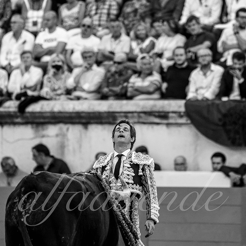 Nimes 20210917 alfaduende 007 fd