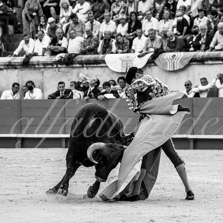Nimes 20210917 alfaduende 008 fd
