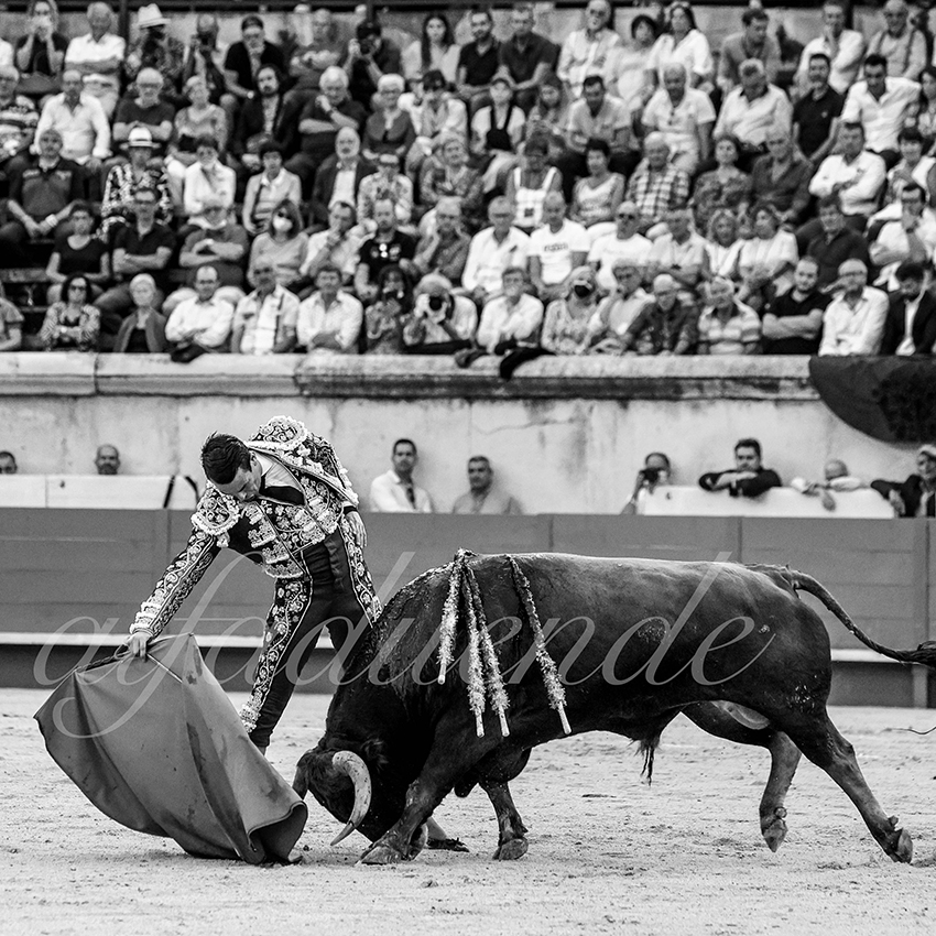 Nimes 20210917 alfaduende 009 fd