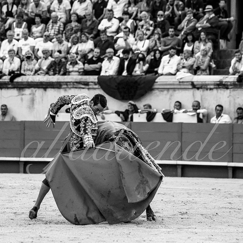 Nimes 20210917 alfaduende 010 fd