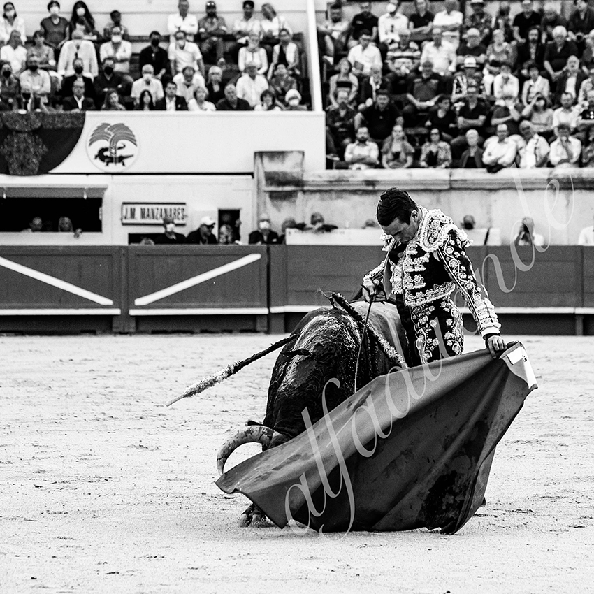 Nimes 20210917 alfaduende 011 fd