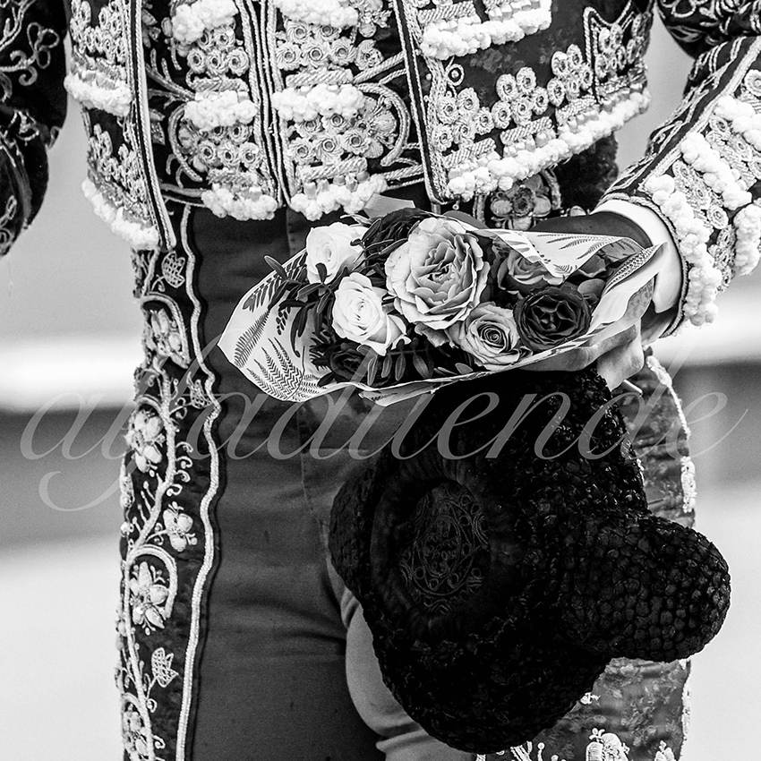 Nimes 20210917 alfaduende 012 fd