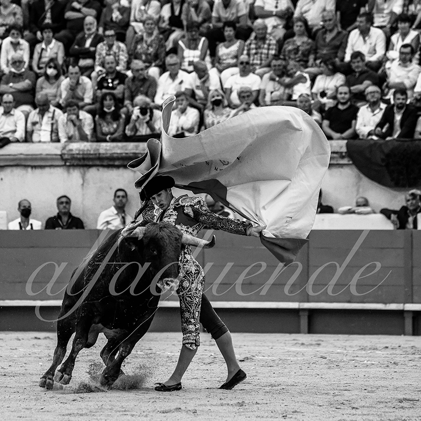 Nimes 20210917 alfaduende 013 fd