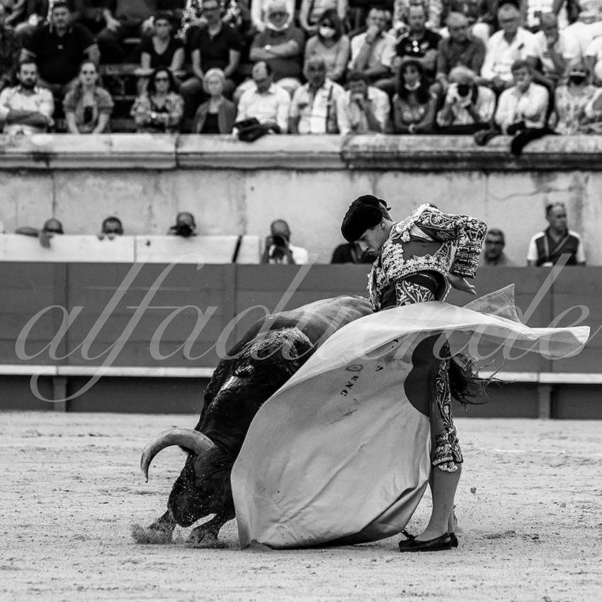 Nimes 20210917 alfaduende 014 fd