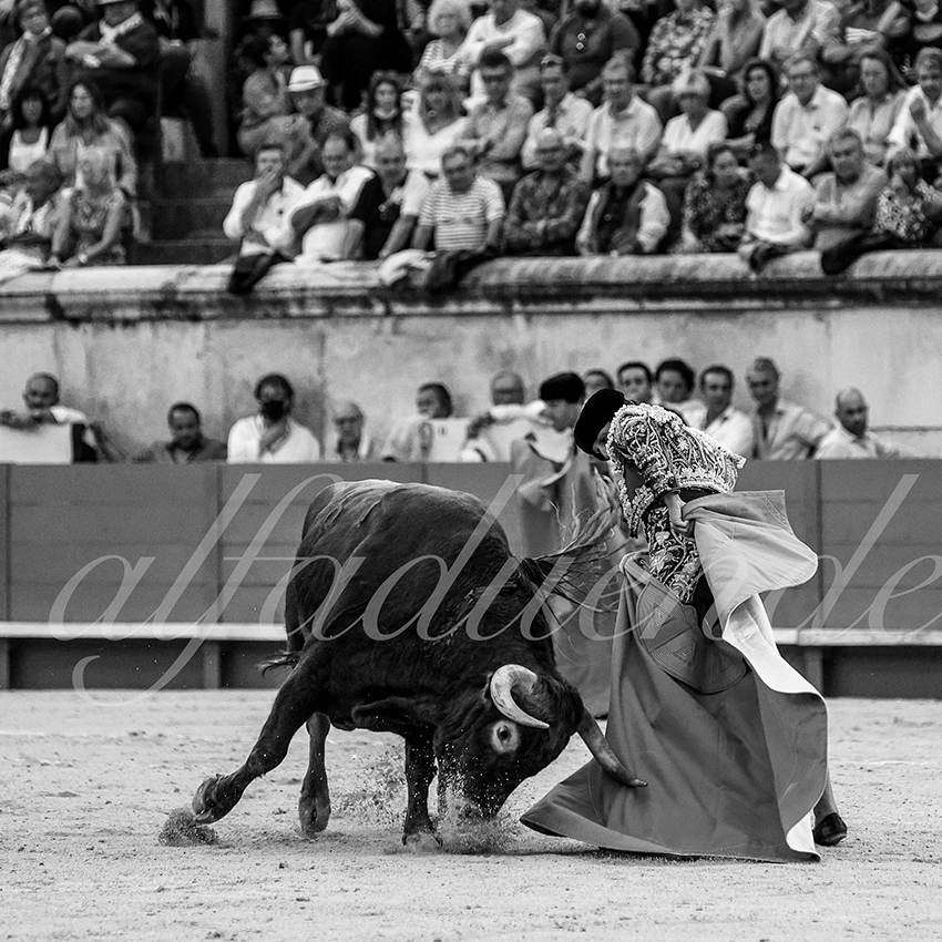 Nimes 20210917 alfaduende 015 fd