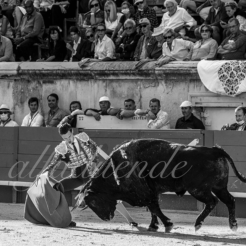 Nimes 20210917 alfaduende 016 fd