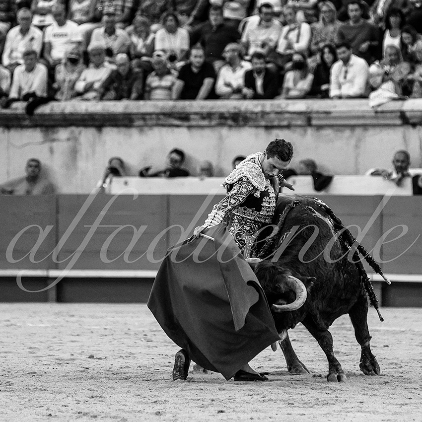 Nimes 20210917 alfaduende 017 fd