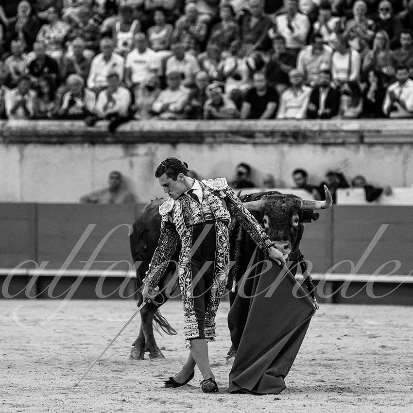 Nimes 20210917 alfaduende 018 fd