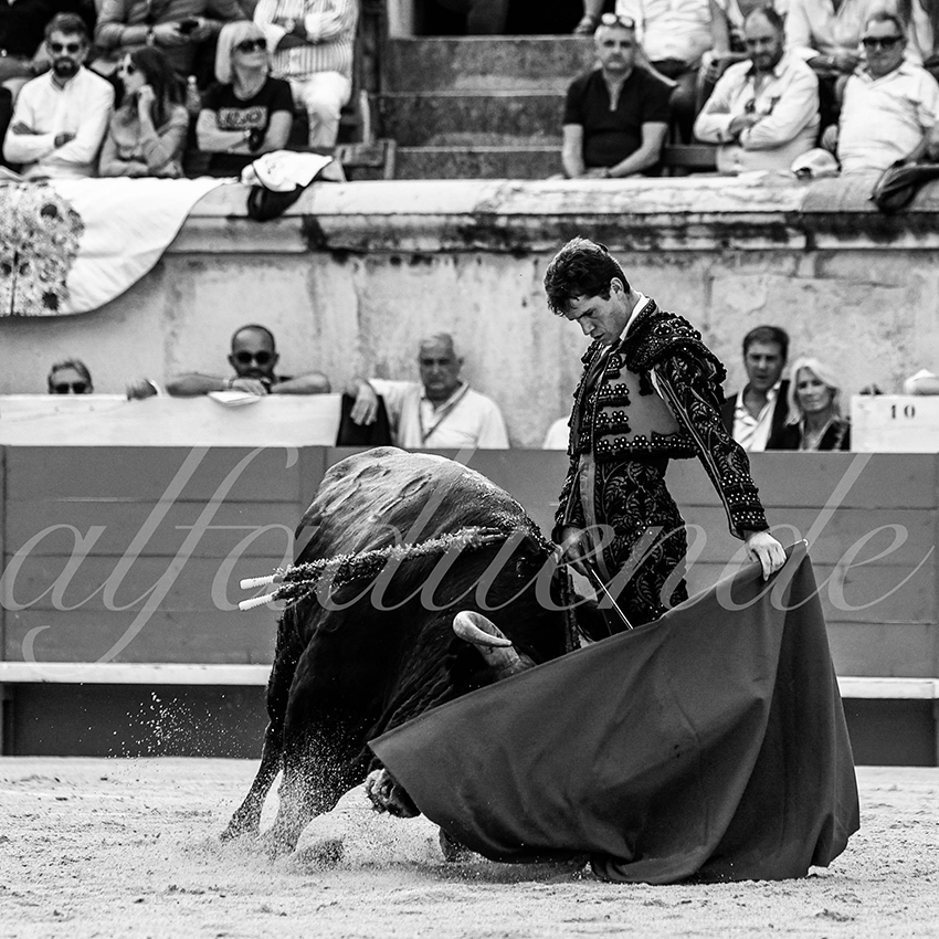 Nimes 20210918 alfaduende 003 fd