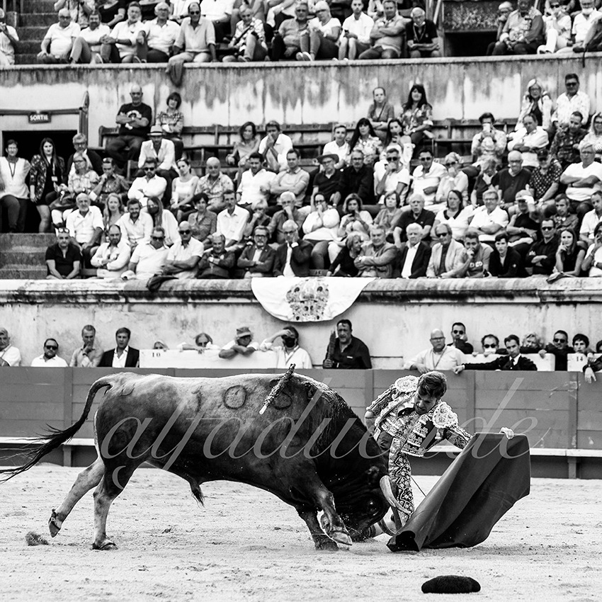 Nimes 20210918 alfaduende 004 fd