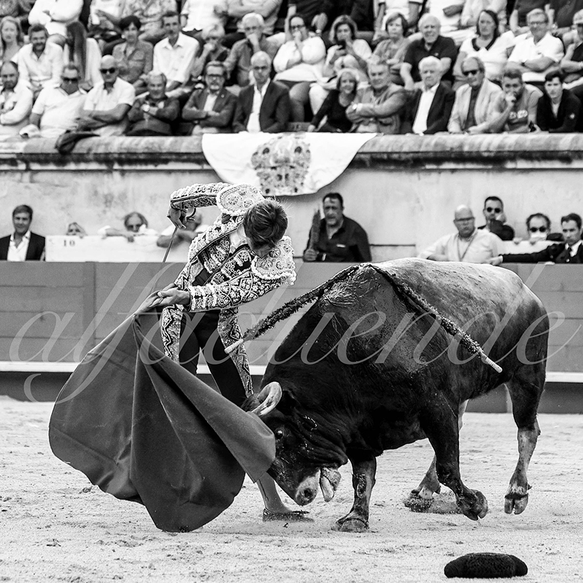 Nimes 20210918 alfaduende 005 fd