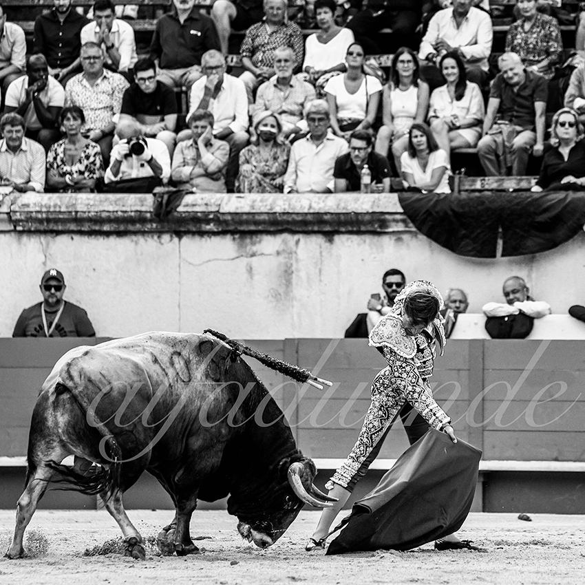 Nimes 20210918 alfaduende 006 fd