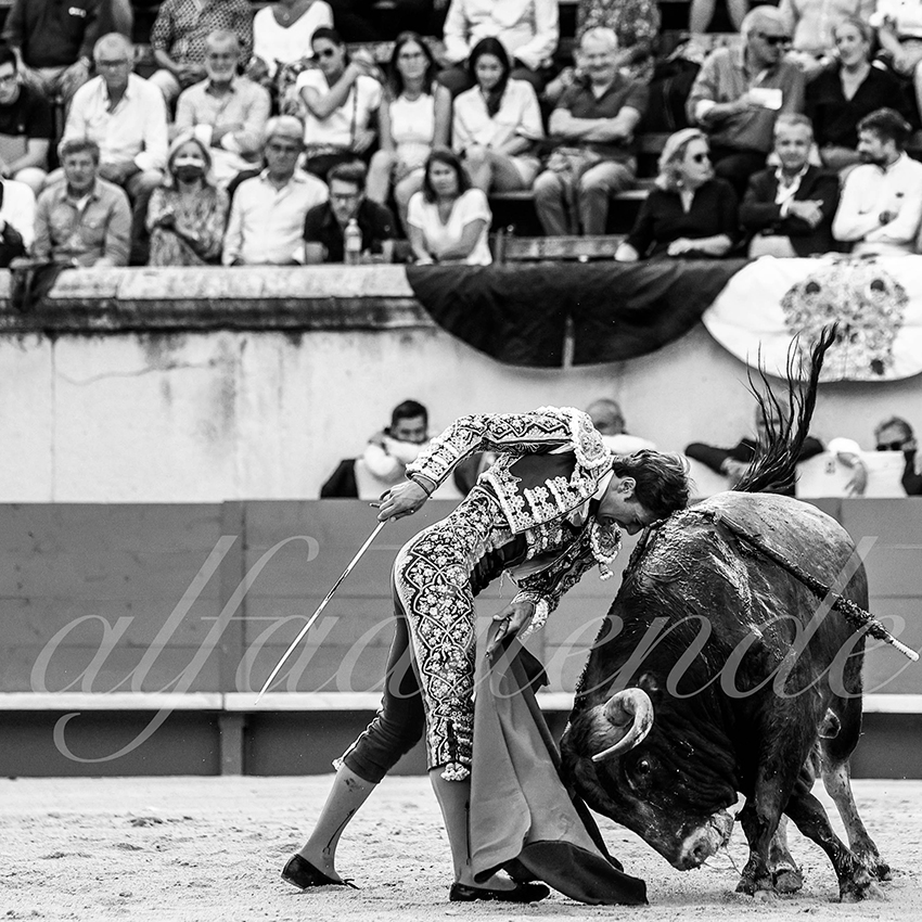 Nimes 20210918 alfaduende 007 fd
