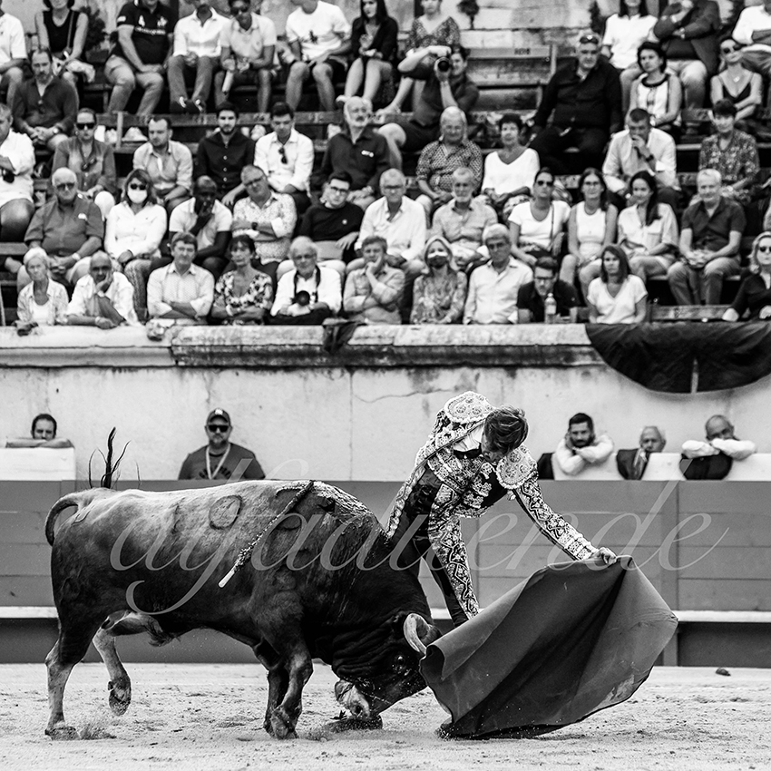 Nimes 20210918 alfaduende 008 fd