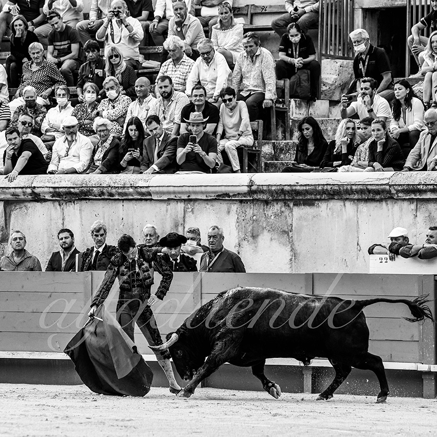 Nimes 20210918 alfaduende 009 fd