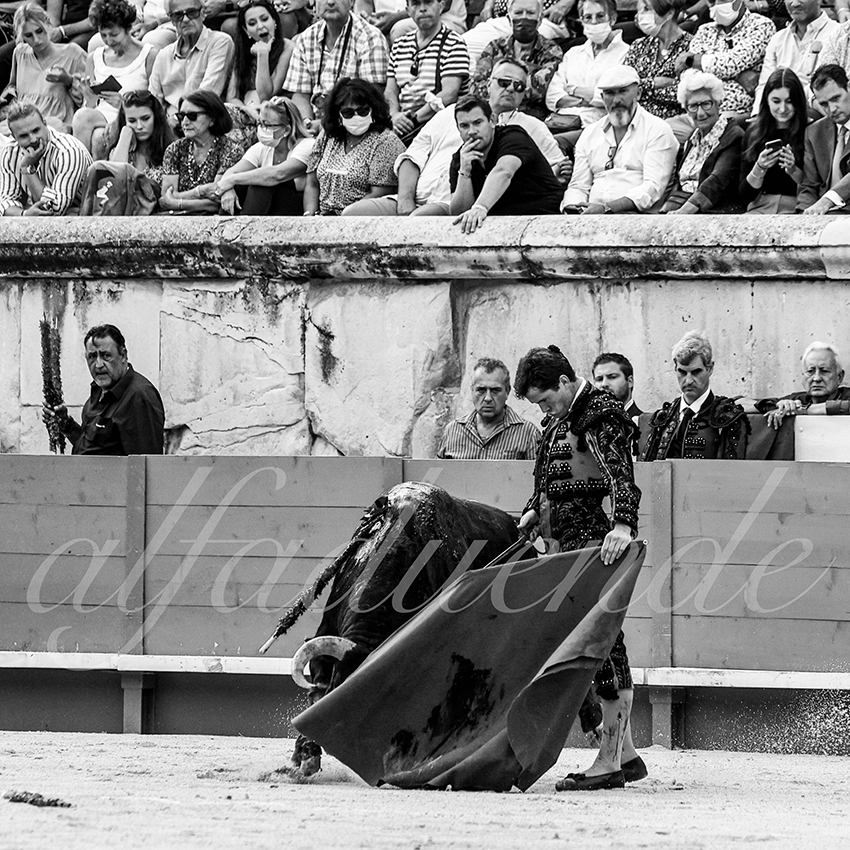 Nimes 20210918 alfaduende 010 fd