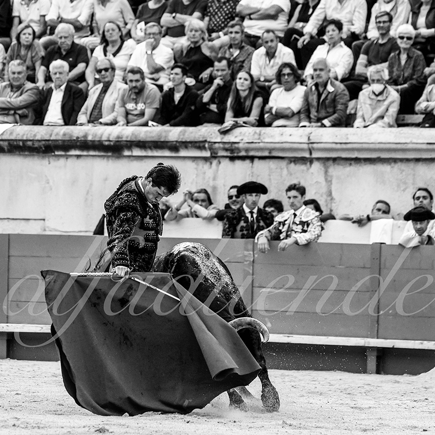 Nimes 20210918 alfaduende 011 fd