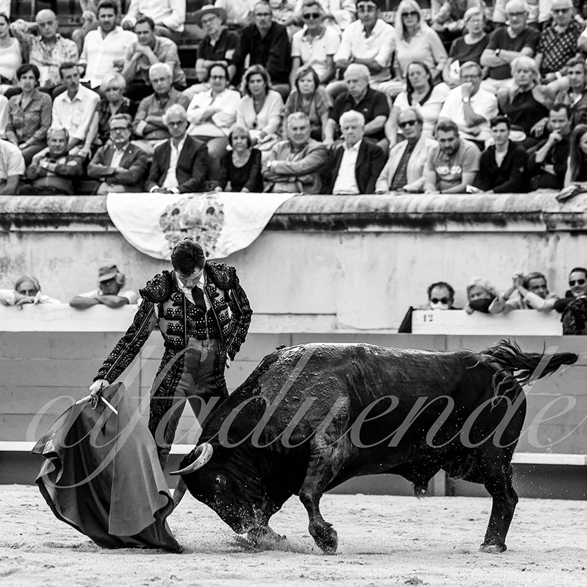 Nimes 20210918 alfaduende 012 fd