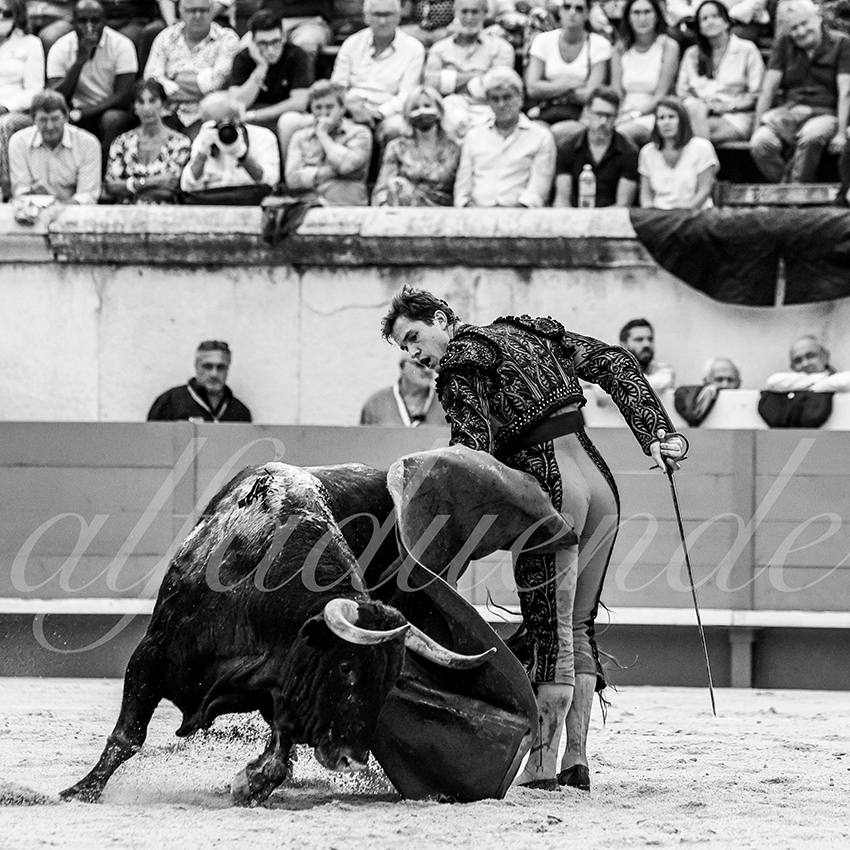 Nimes 20210918 alfaduende 013 fd