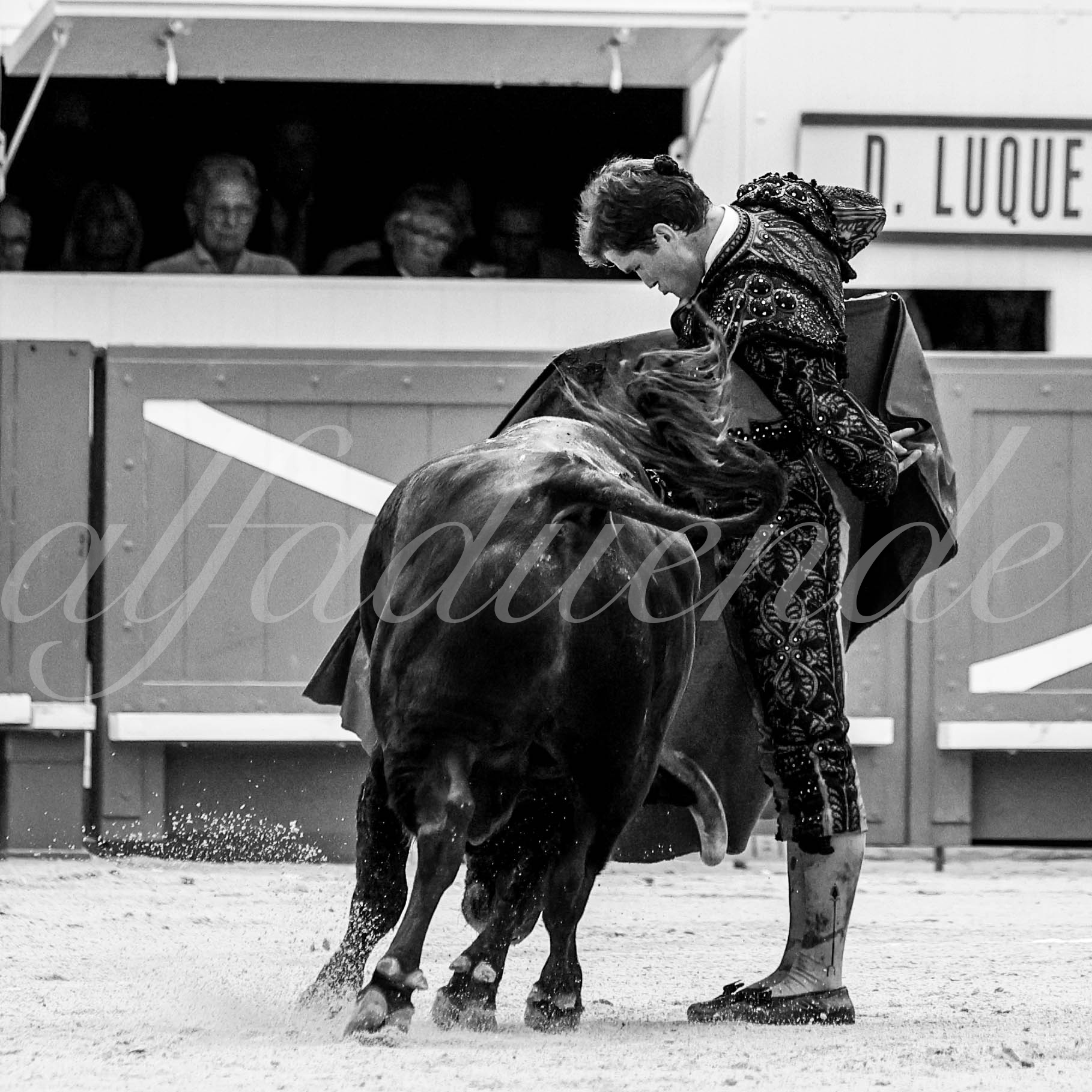 Nimes 20210918 alfaduende 014 fd