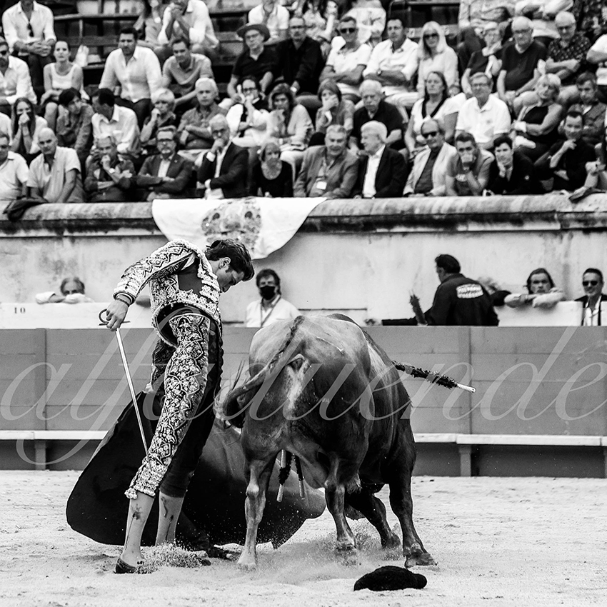 Nimes 20210918 alfaduende 015 fd