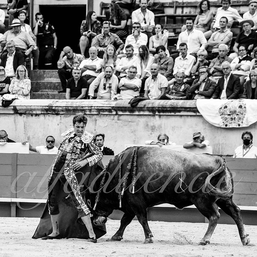 Nimes 20210918 alfaduende 017 fd