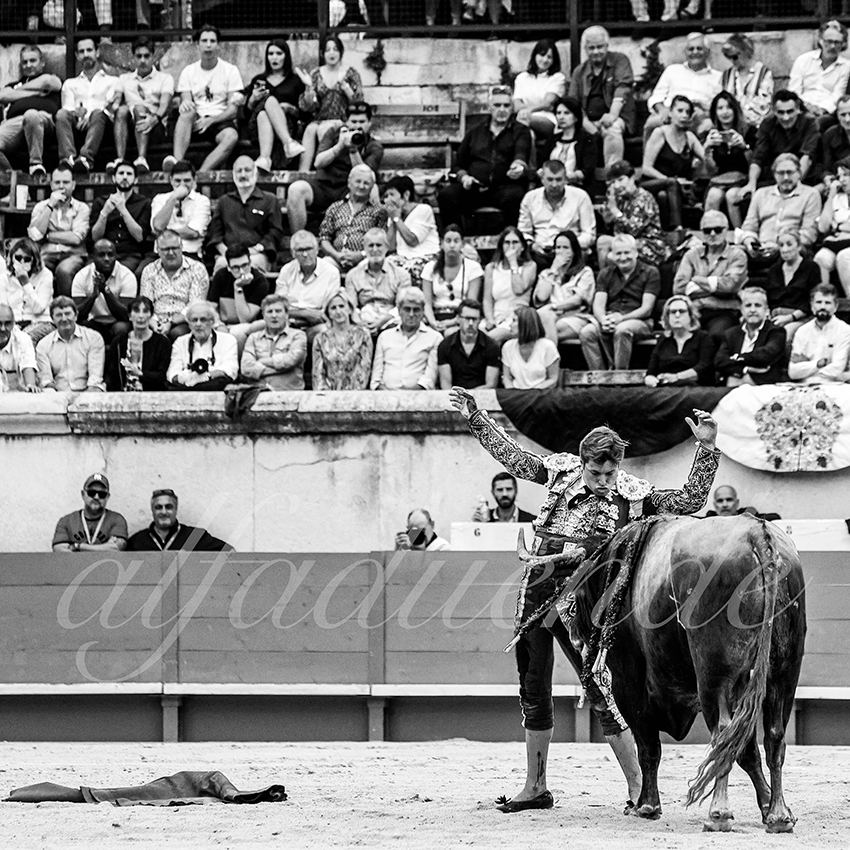 Nimes 20210918 alfaduende 018 fd