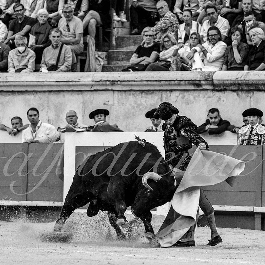 Nimes 20210918 alfaduende 019 fd
