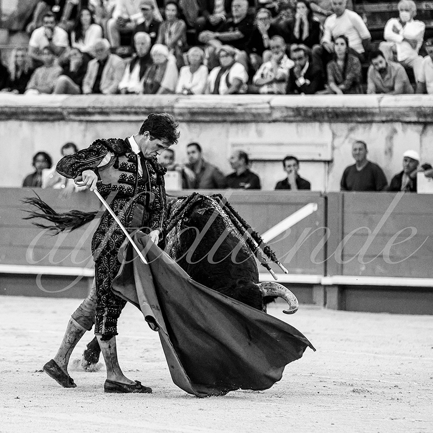 Nimes 20210918 alfaduende 020 fd