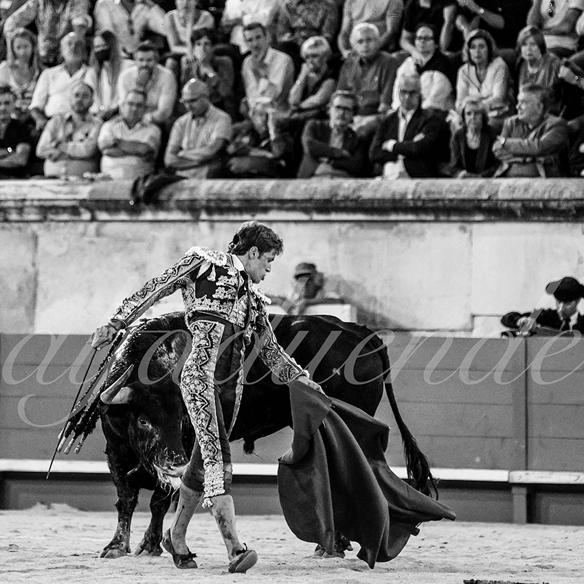 Nimes 20210918 alfaduende 021 fd