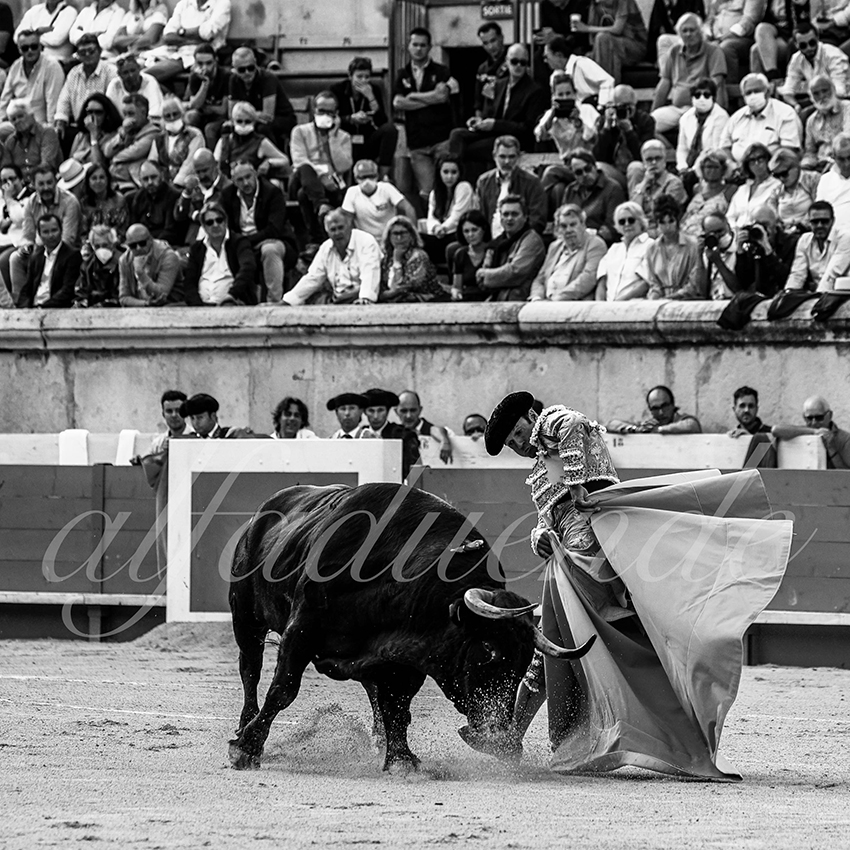 Nimes 20210919 alfaduende 004 fd
