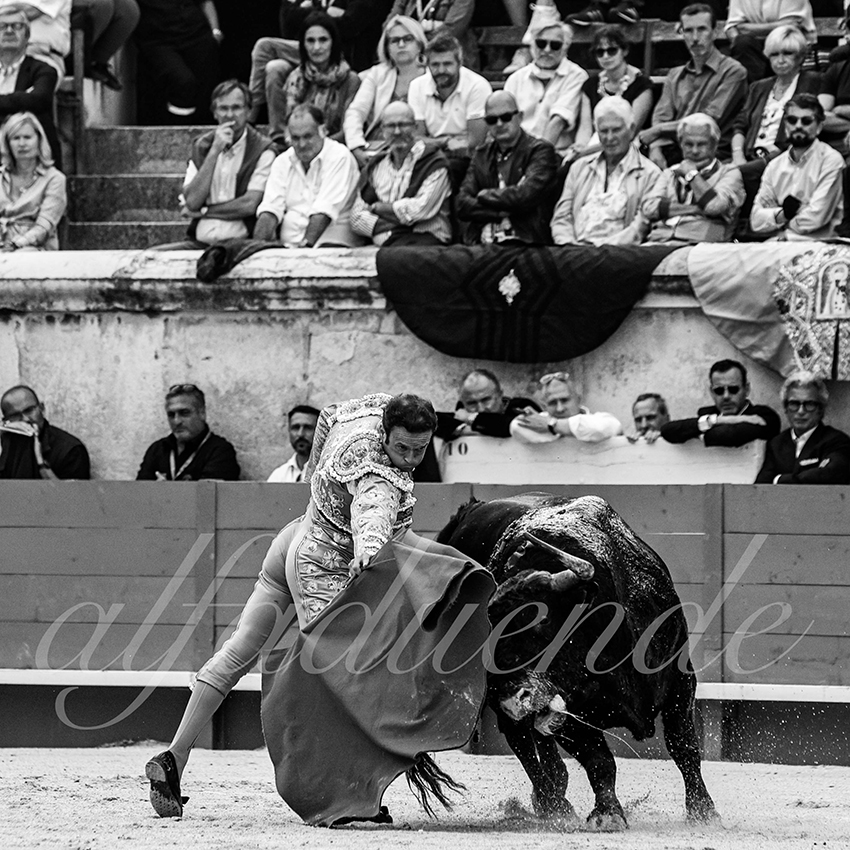 Nimes 20210919 alfaduende 005 fd