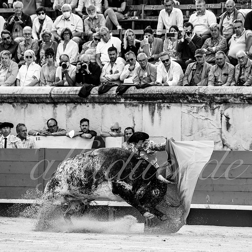 Nimes 20210919 alfaduende 006 fd