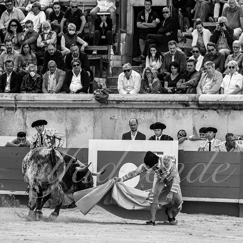 Nimes 20210919 alfaduende 007 fd