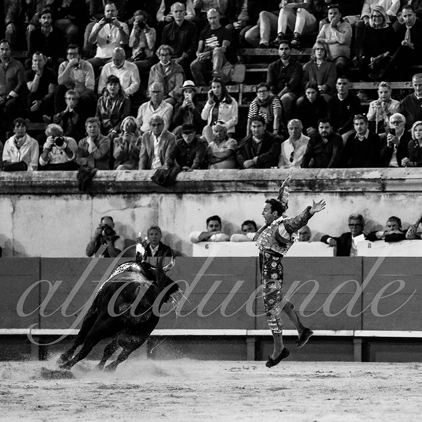 Nimes 20210919 alfaduende 008 fd