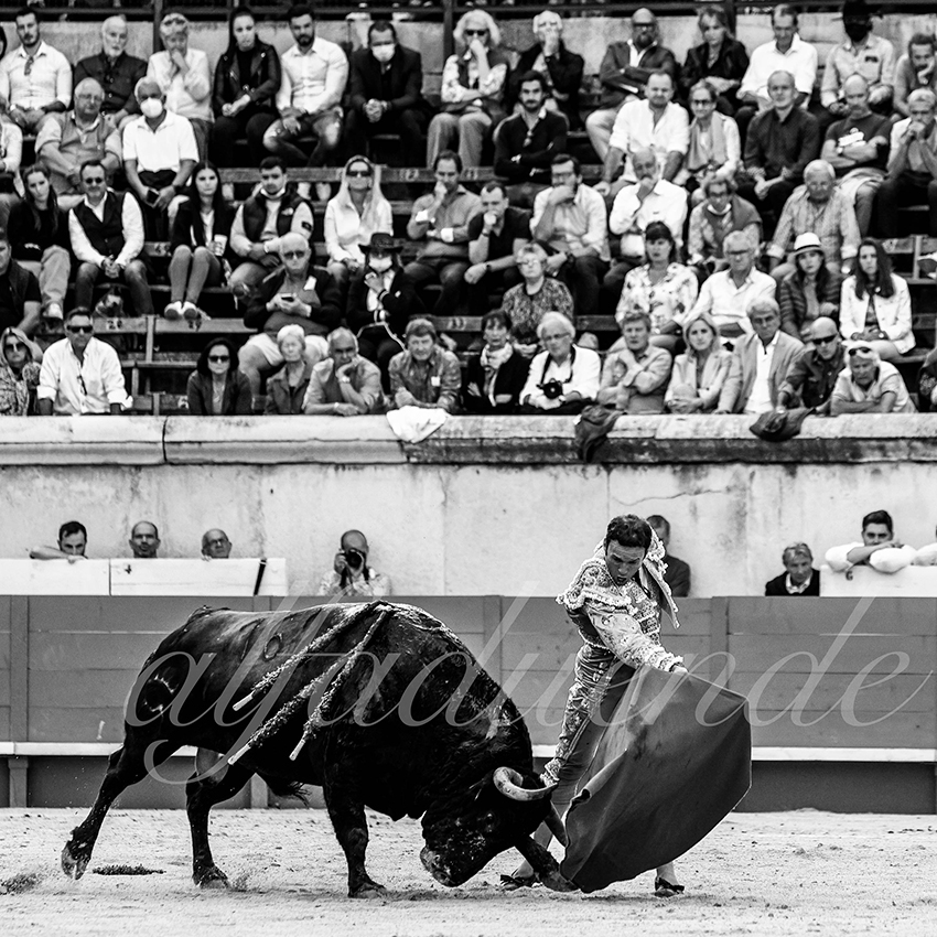 Nimes 20210919 alfaduende 009 fd