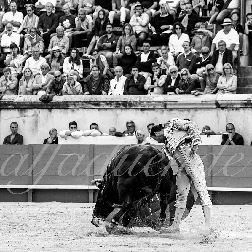Nimes 20210919 alfaduende 010 fd