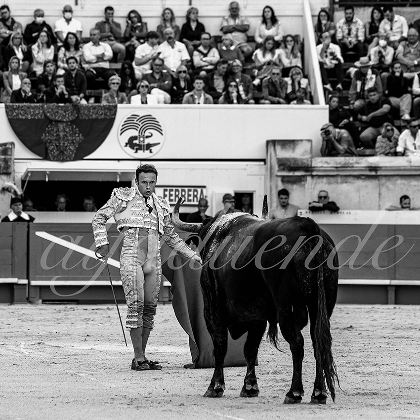 Nimes 20210919 alfaduende 011 fd