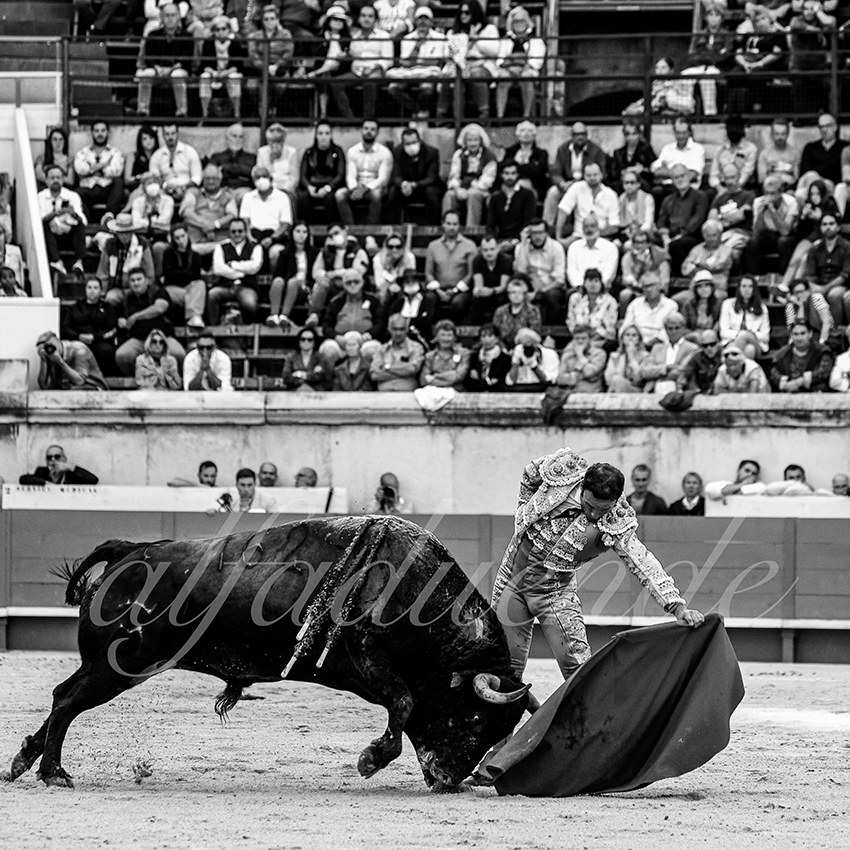 Nimes 20210919 alfaduende 012 fd