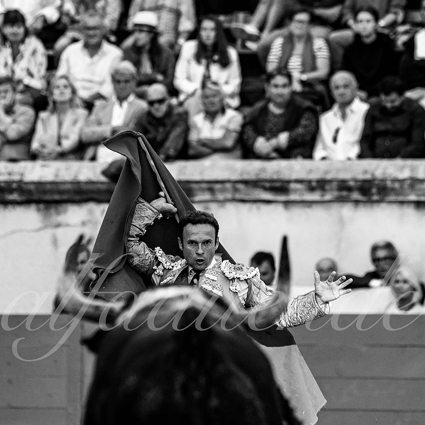 Nimes 20210919 alfaduende 013 fd