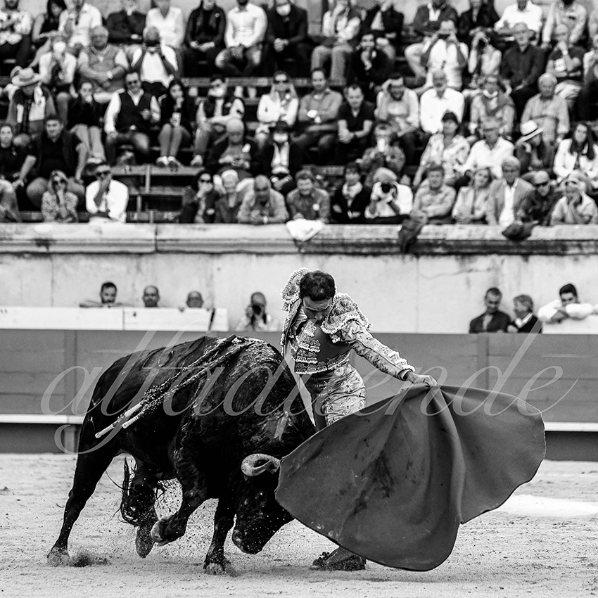 Nimes 20210919 alfaduende 014 fd