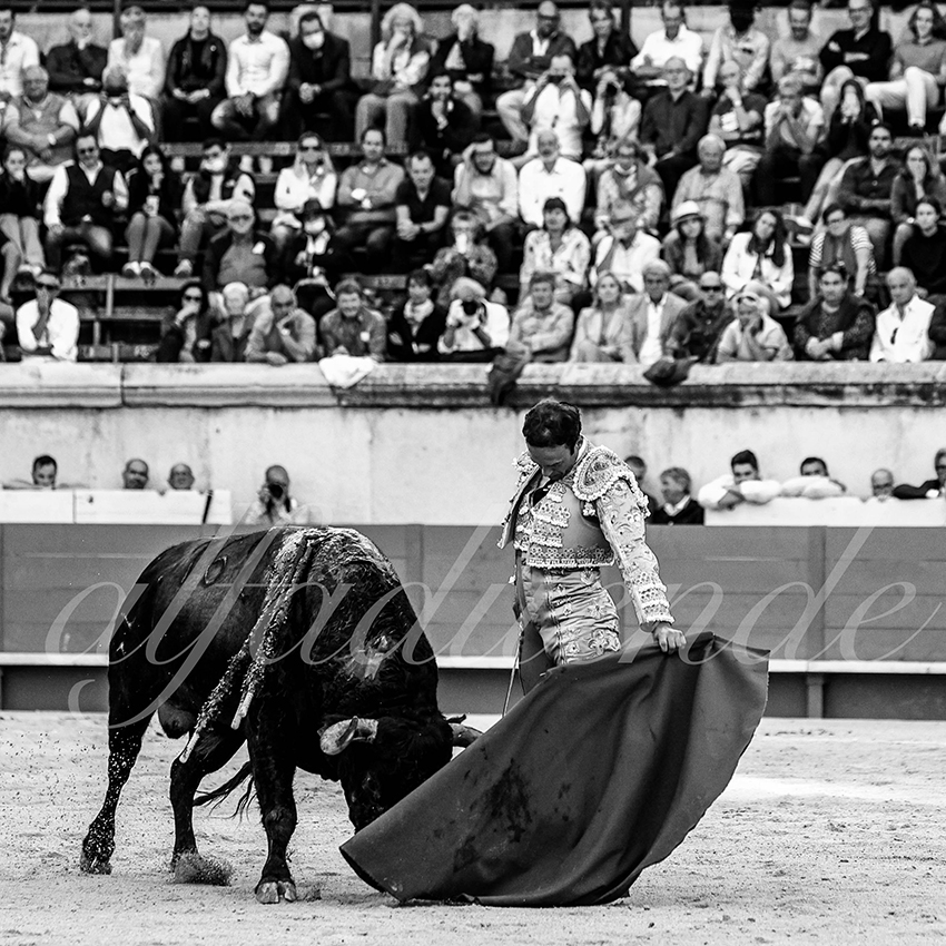 Nimes 20210919 alfaduende 015 fd