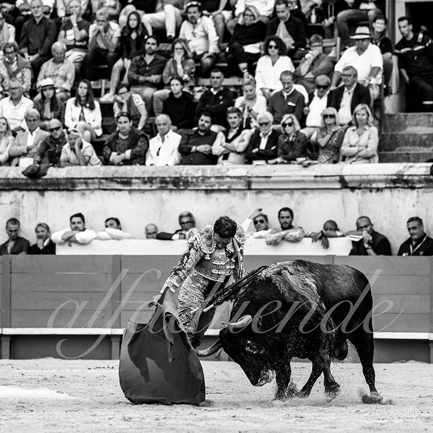 Nimes 20210919 alfaduende 016 fd