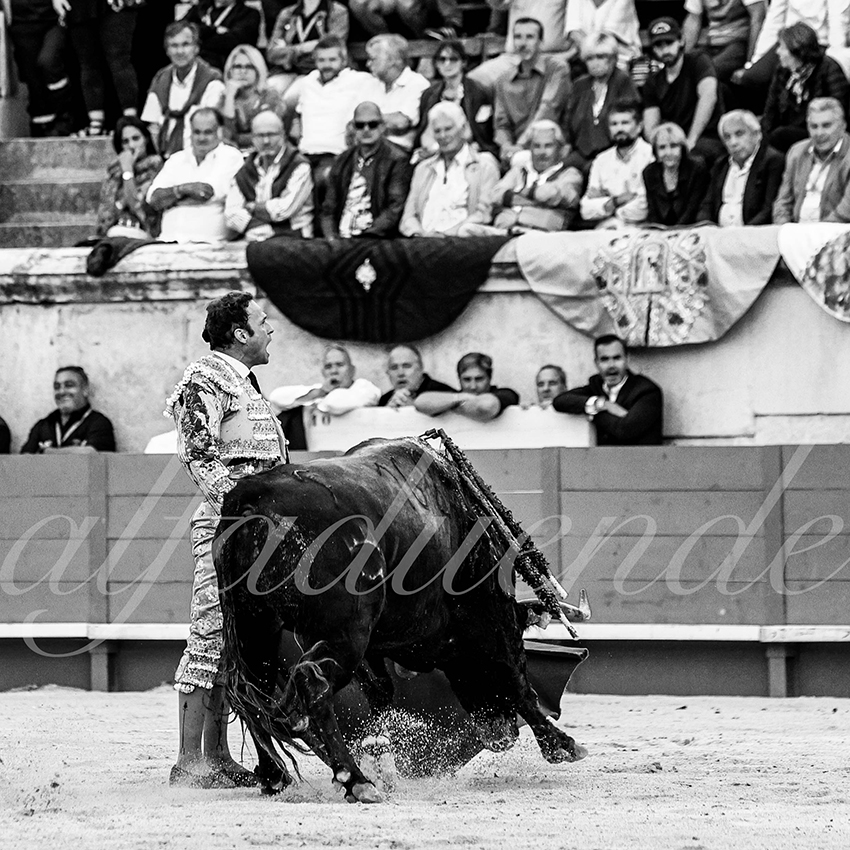 Nimes 20210919 alfaduende 017 fd