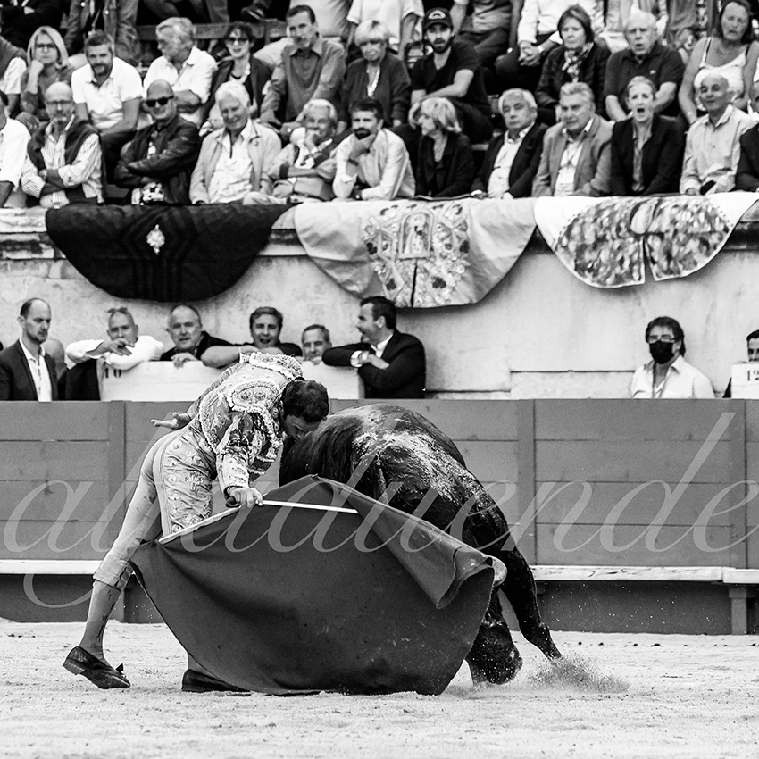 Nimes 20210919 alfaduende 018 fd