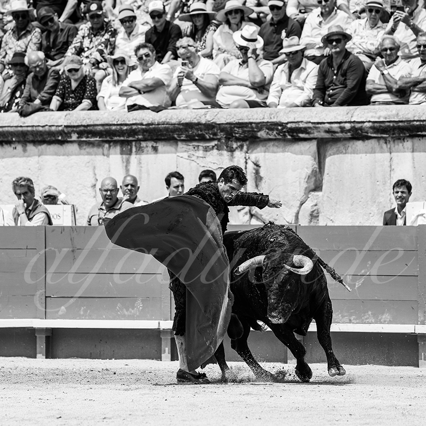 20250608 nimes 010
