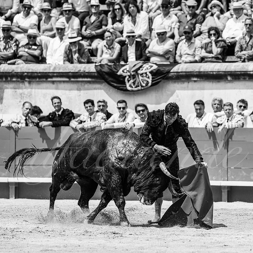 20250608 nimes 009